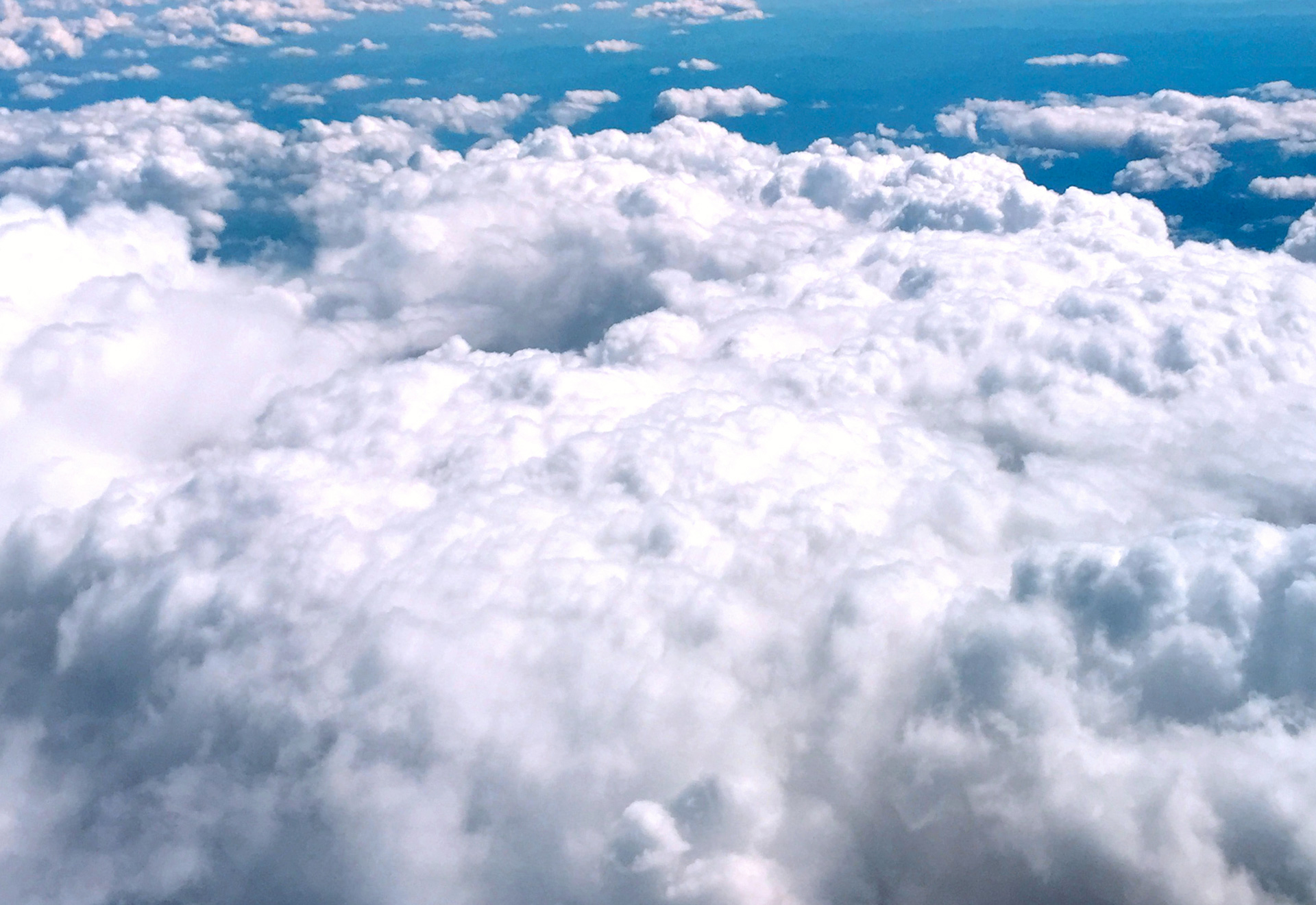 Nature Photo 16
